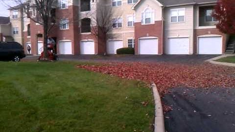 Leaf removal made easy!!!