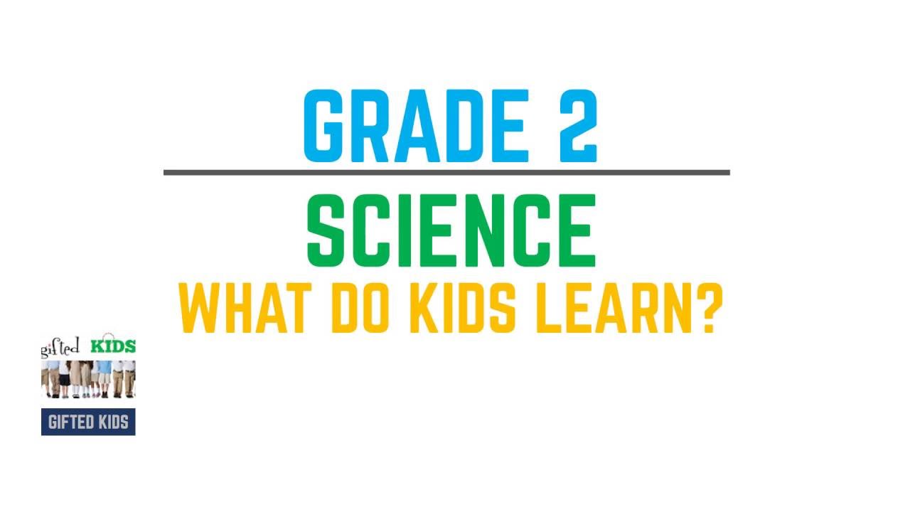 what do kids learn in