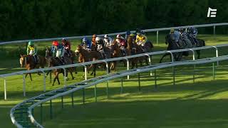 Vidéo de la course PMU PRIX DES FUTAIES