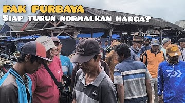 Thumbnail of Pak Purbaya Redenominasi harga kambing di pasar?