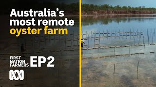 Native oysters: a new Indigenous Australian industry? | First Nation Farmers Ep2 | ABC Australia