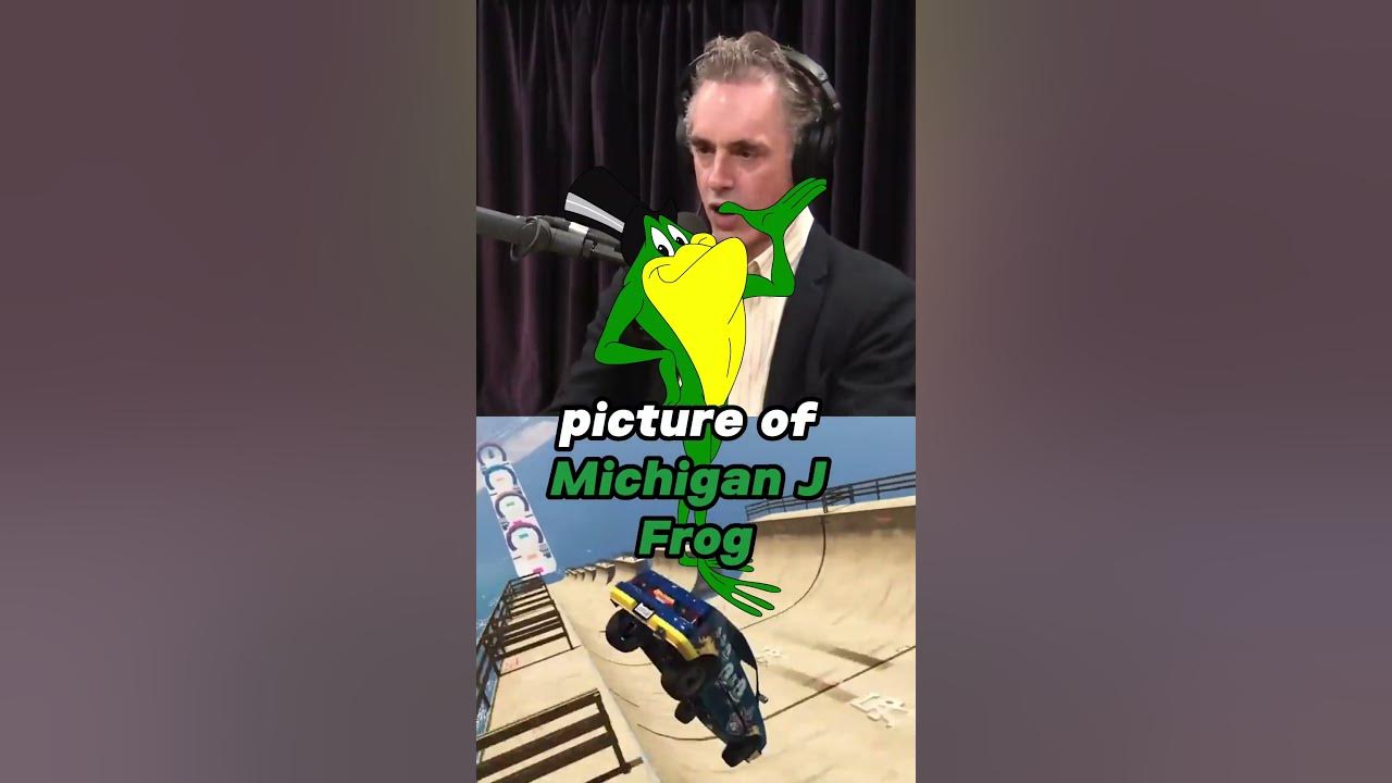 JORDAN PETERSON COMMENTS ON PEPE THE FROG #joerogan #jordanpeterson