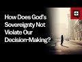 How Does God’s Sovereignty Not Violate Our Decision-Making? // Ask Pastor John