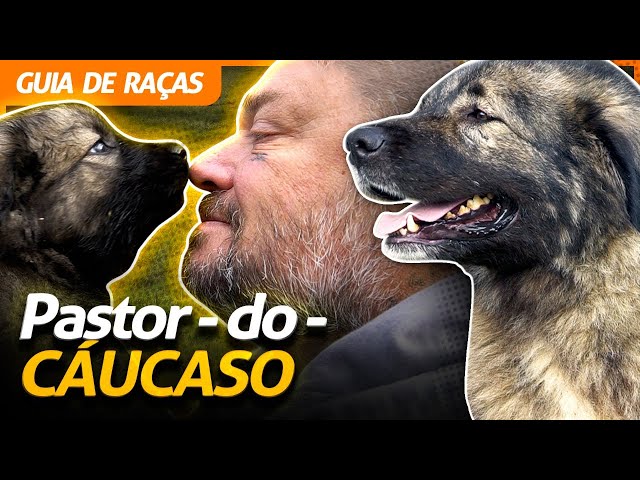 O PODEROSO PASTOR DO CÁUCASO!