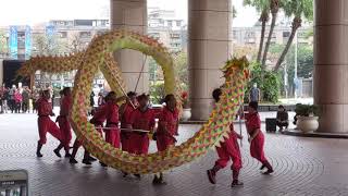 Danza del Dragón | Hotel Hyatt, Taipei. Taiwán. Año Nuevo Lunar 2020