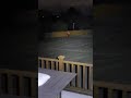 A visit in our yard from Santa Claus!  (real video captured at night)