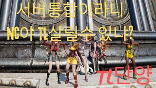 TL단양 pvp 스탯은 ? 아직 어떤게 좋은지 모르겠씀돠..