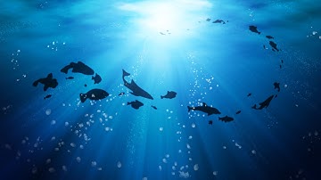 Ambient Fishing - Only one command! (NO MODS) Minecraft 1.8.3