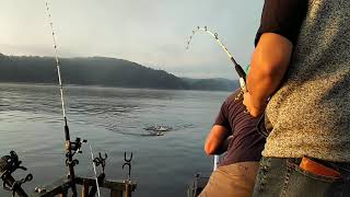 Striper Fishing - Cumberland Lake KY