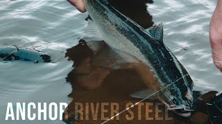 Anchor River Steel - Steelhead Fly Fishing - Alaska