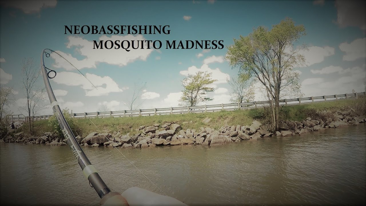 Mosquito Madness 2021 Bass Tournament Pre-fish