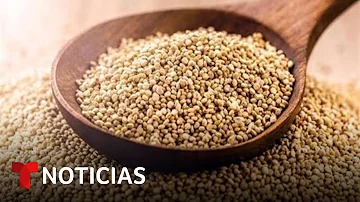 ¿Es la quinoa un alimento de origen vegetal?