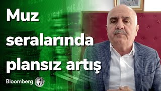 Muz Seralarında Plansız Artış - Tarım Iz 23.02.2022