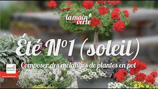 La main verte : 3 compositions de fleurs d'été pour le plein soleil (No. 1)