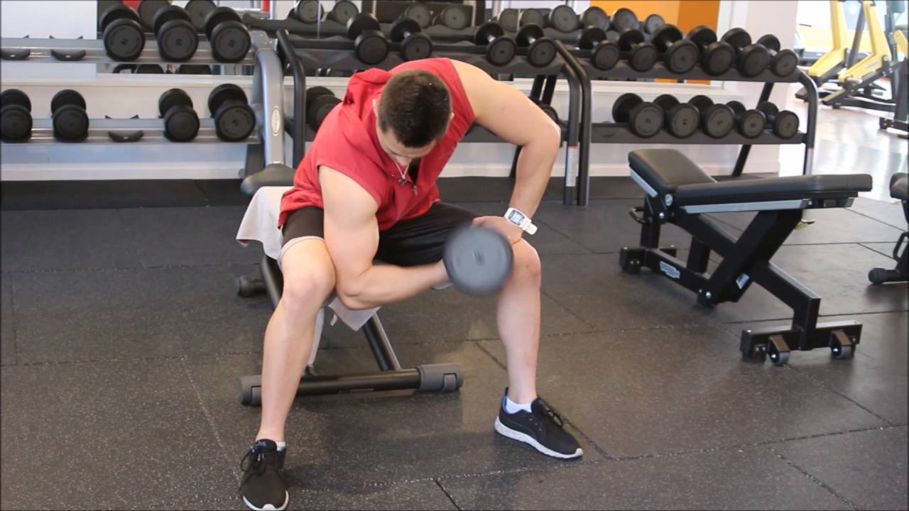 Bicep Curl