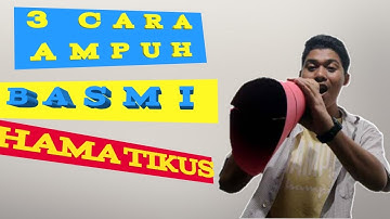 HAMA PADI | CARA MENGATASI TIKUS SAWAH