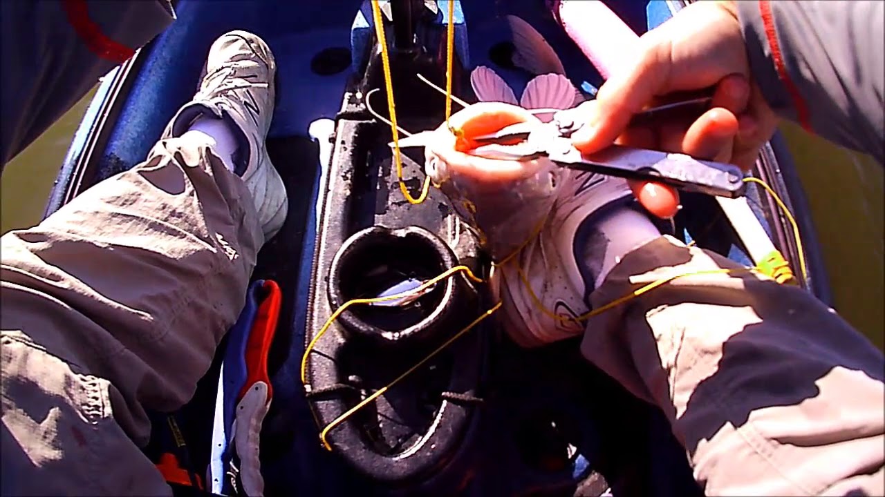 Catfishing with jugs on Hubbard 11162018 YouTube