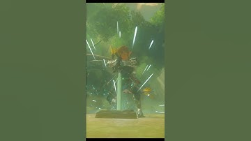 BOTW Master Sword pull! | #cheezyjokester on #Twitch #BOTW