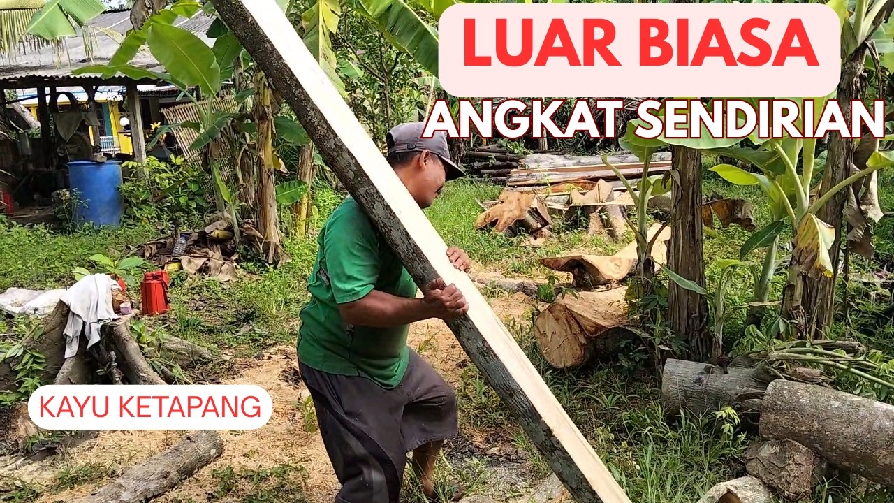 Kayu Renyah tapi njepretan@kayukampung