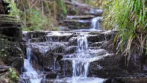 8 Hours Relaxing Waterfall Nature Sounds Calming Birdsong Sound of Water Forest Relaxation