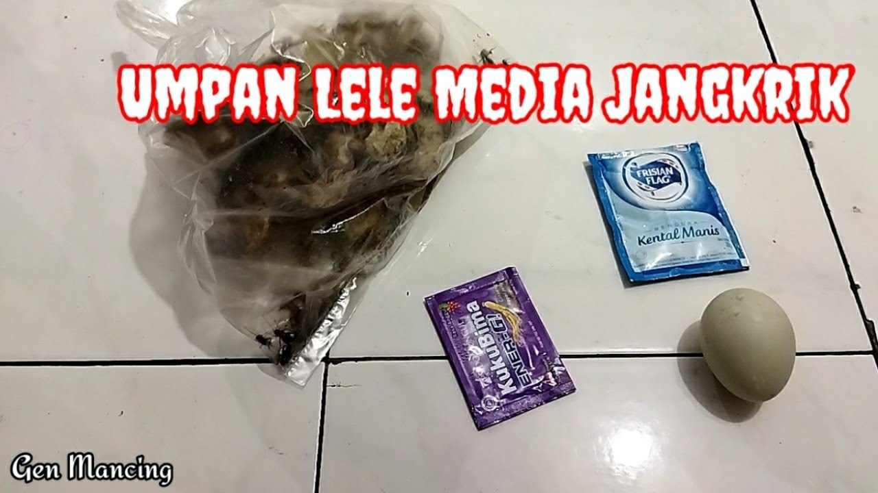 Umpan Lele Media Jangkrik