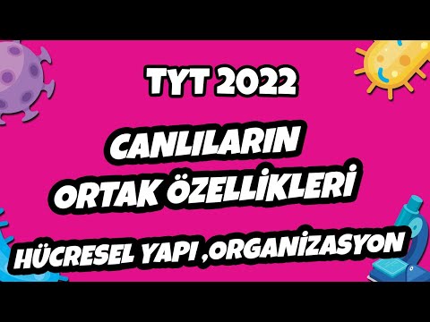 Video: Her canlı hücrede hangi 3 hücresel yapı bulunur?