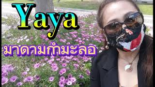 ตามติดชีวิตมาดาม กำมะลอ..ที่เก่า เวลาเดิม เพิ่มเติมมีเพื่อนนั่ง..