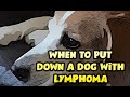 Canine Lymphoma When to Euthanize?