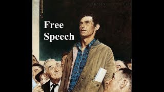 Free Speech (Part 1):  Setting the Stage Profile