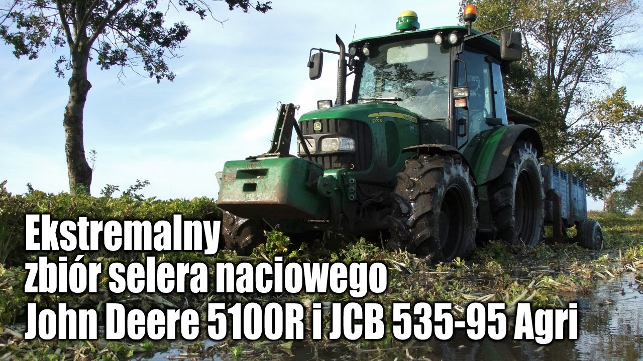 maxresdefault John Deere 5100R i JCB 535 95 Agri w ekstremalnym zbiorze selera naciowego   VIDEO