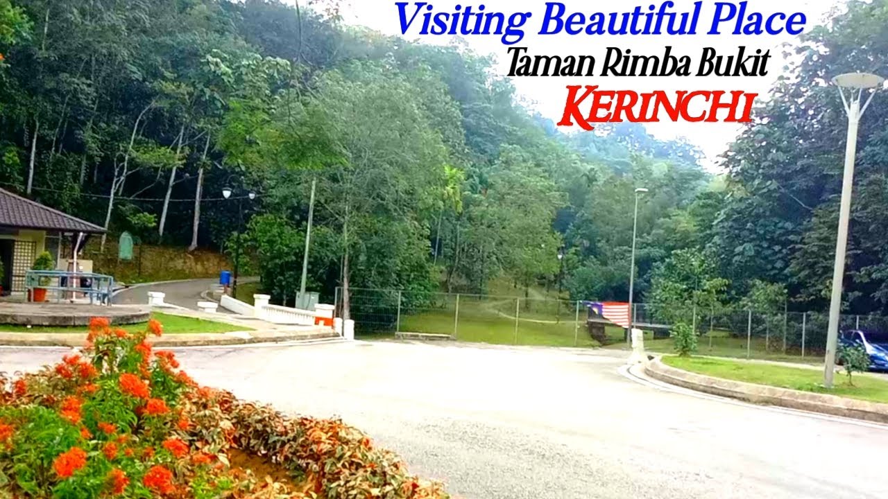 Visiting Beautiful Place Taman Rimba Bukit Kerinchi - YouTube