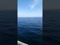 أجمل شيئ السفر عبر البحر أجمل شيئ السفر عبر البحر