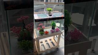 Cheap Fish Tanks in Villivakkam #fishtradecentre #fishtank #fishmarket #ornamentalfish #villivakkam