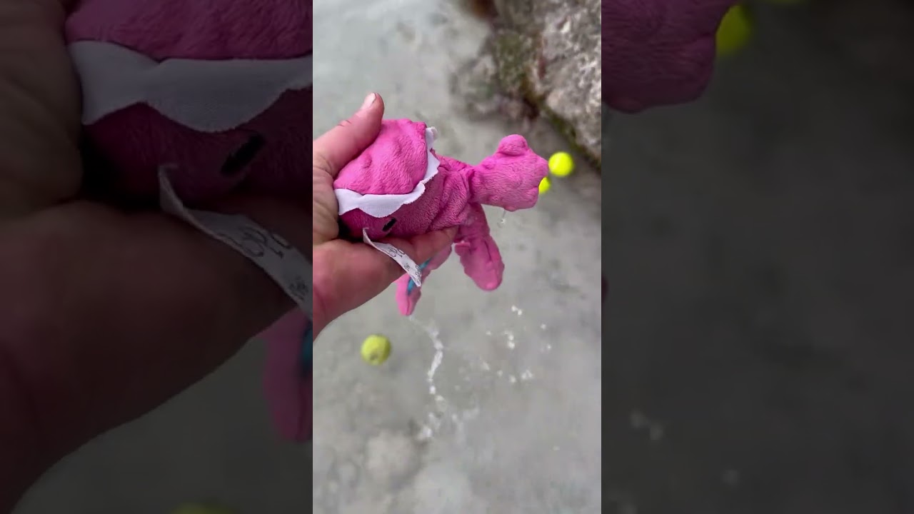 Ежедневные снимки 14.01.2026