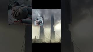 Tyler Mcvicker reactions on PIGEON hit the first citadel