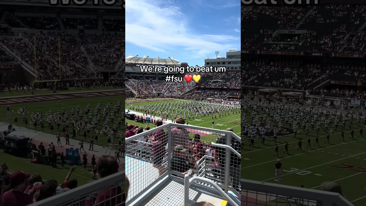 Go Noles ❤️💛🍢 