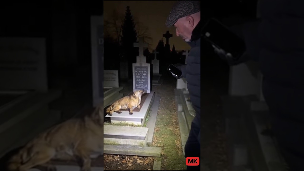 dog possessed prank! part.41 