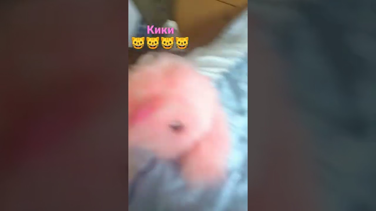 9 април 2022 г.