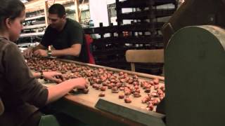 Wireco - Bollenpellen en selecteren