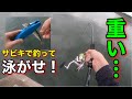 サビキで釣った小サバを泳がせてみたら大物が喰ってきた！！