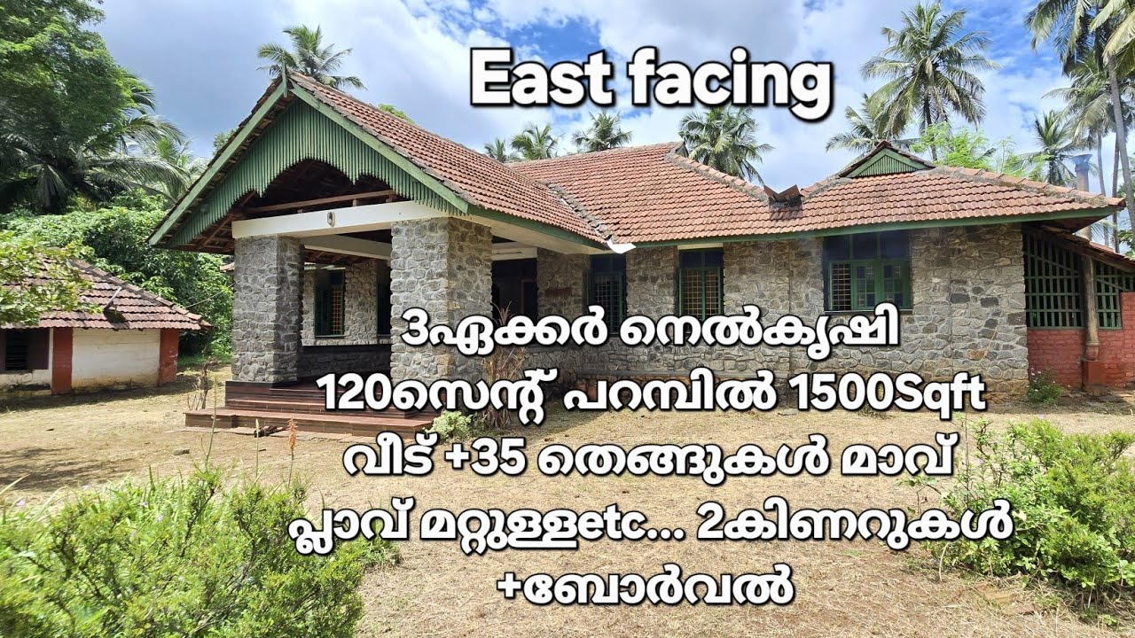 120സെന്റ്പറമ്പ് 1500Sqftവീട് 3ഏക്കർനെൽകൃഷി ഇതെല്ലാം ഒറ്റ കോമ്പൗണ്ടിൽ പാലക്കാട്ജില്ലയിൽ വില്പനയ്ക്ക് 