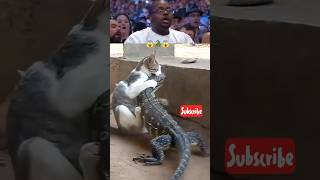 Mother Cat Defends Her Kittens From Giant Monitor Lizard! 🐱vs🦎 #CatVsLizard #MotherInstinct #yt
