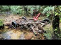 渓流にあった車の残骸にまさかの希少生物が...