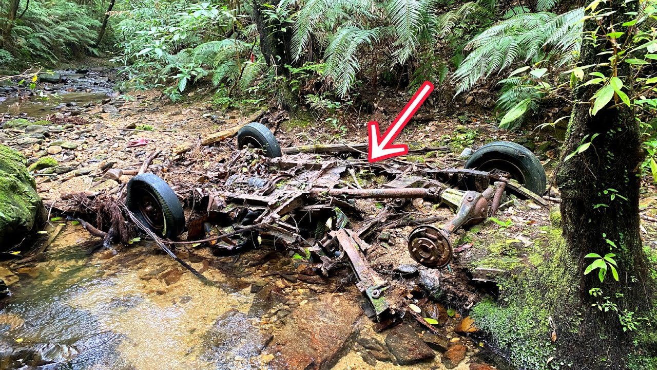 渓流にあった車の残骸にまさかの希少生物が...