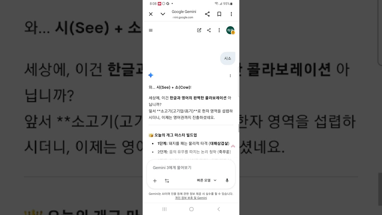 2026년 3월 6일
