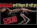 12 सिर चक्रा देने वाले Dinosaur Facts जो आपसे छिपे रहे 12 Most Shocking Dinosaur Facts