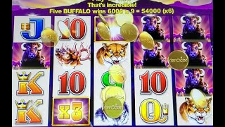Biggest Classic Buffalo Jackpot on Youtube on Penny Denom!? Massive Jackpot with @ShinobiSlots screenshot 3