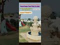 Aduri Group Farm  plots in Bangalore highway with Resort Bases #hyderabadrealestate #shadnagarplots