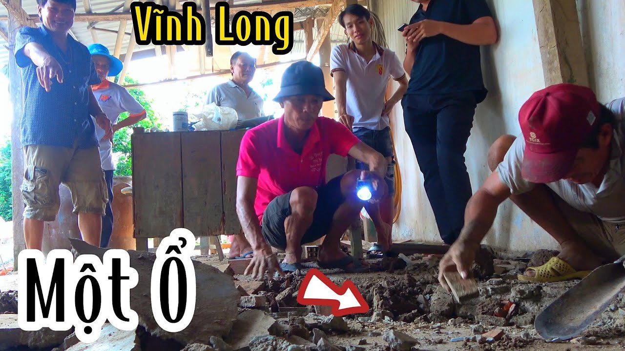 Vĩnh Long -  Rắn Độc Di Cư Vào Nhà Dân Làm Tổ Đẻ Trứng Nhiều Năm Dưới Nền Xi Măng| Mười Thương SB