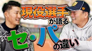 困ったら〇〇の球種が多い！？梶谷選手が感じるソフトバンクとの強さとセリーグの課題について語ります！